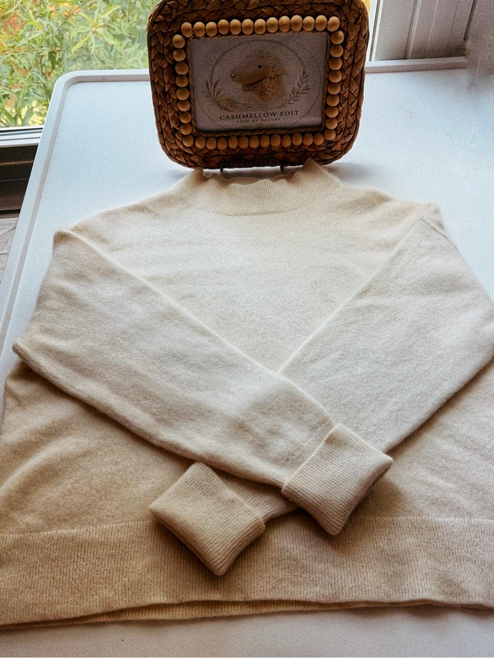 Everlane Cream Turtleneck Sweater - Picture 2 of 12